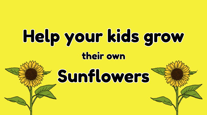 help your kids grow their own sunflowers