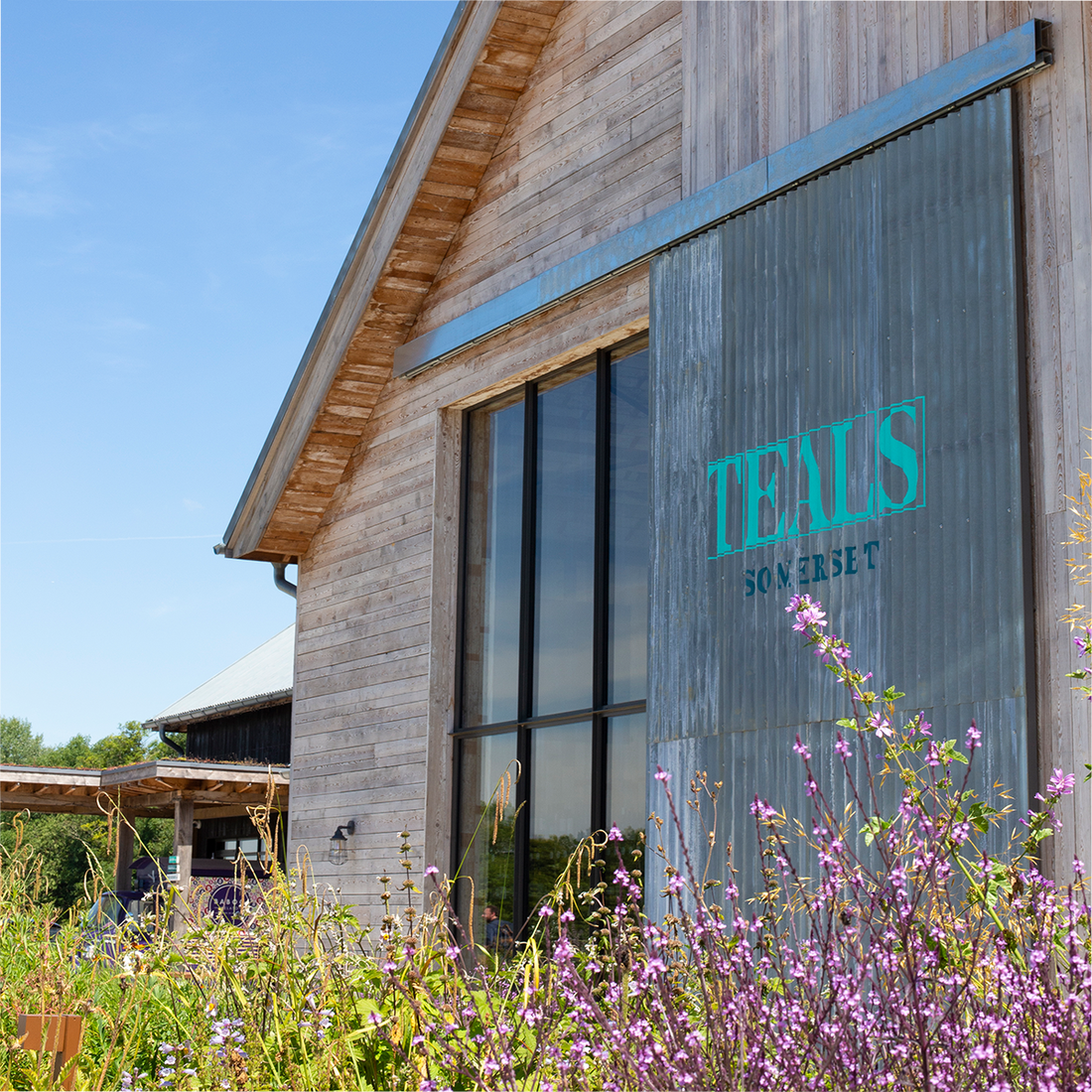 Stockist Spotlight: TEALS!