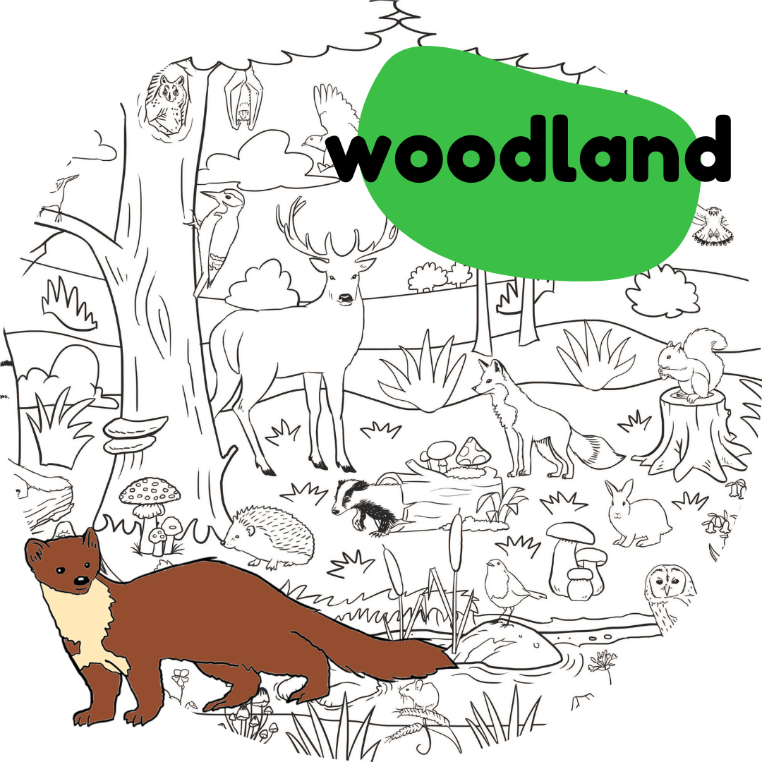 gifts for kids who like pond dipping