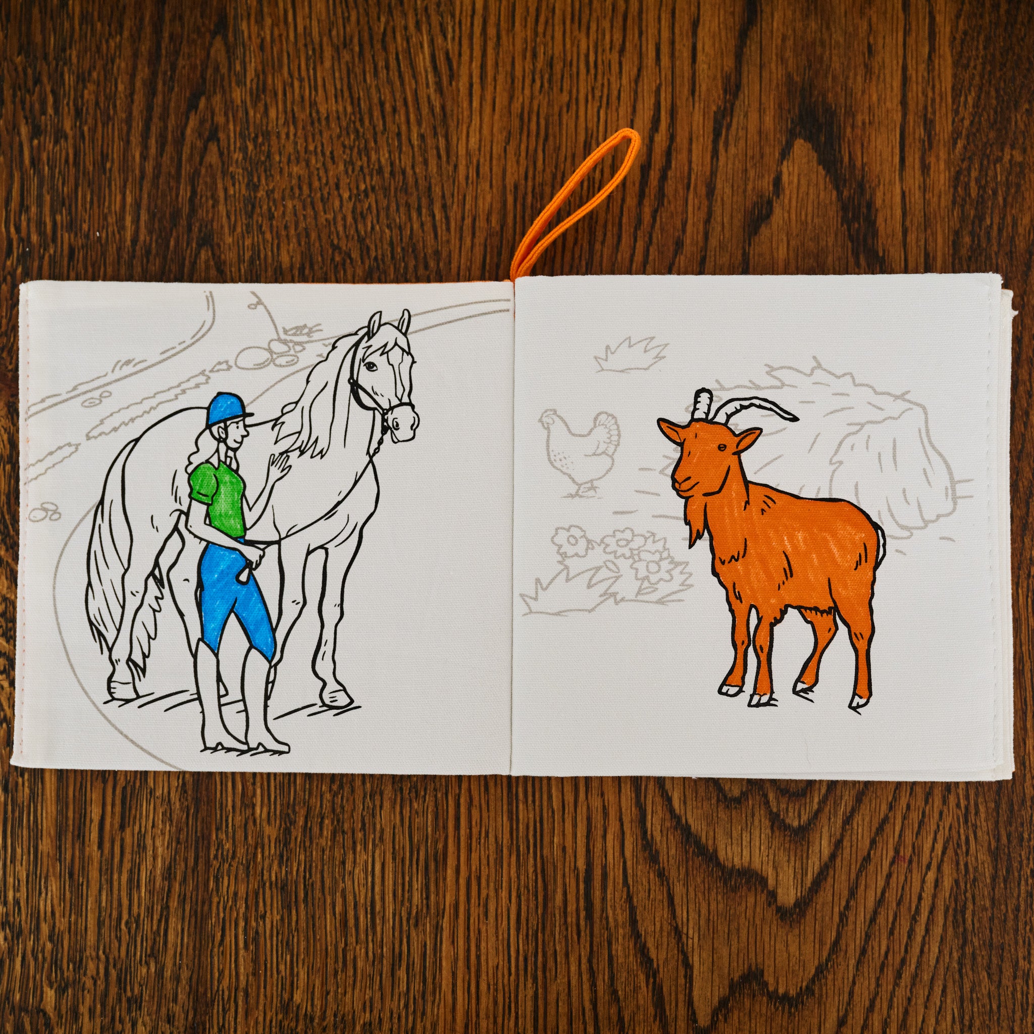 farmyard colour in book