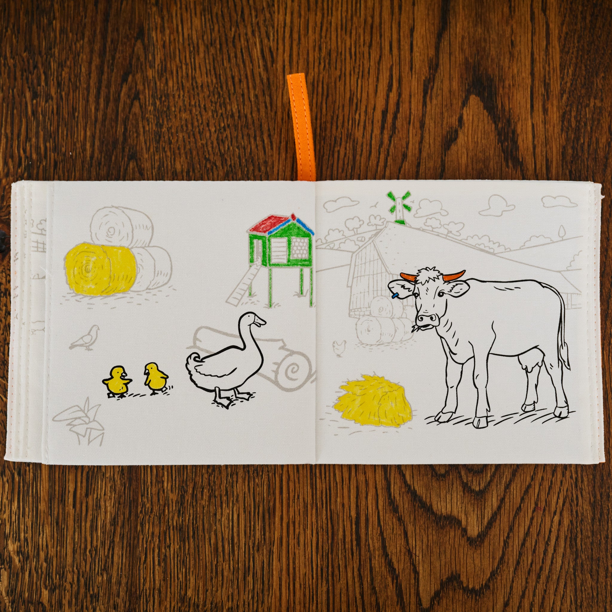 farmyard colour in book