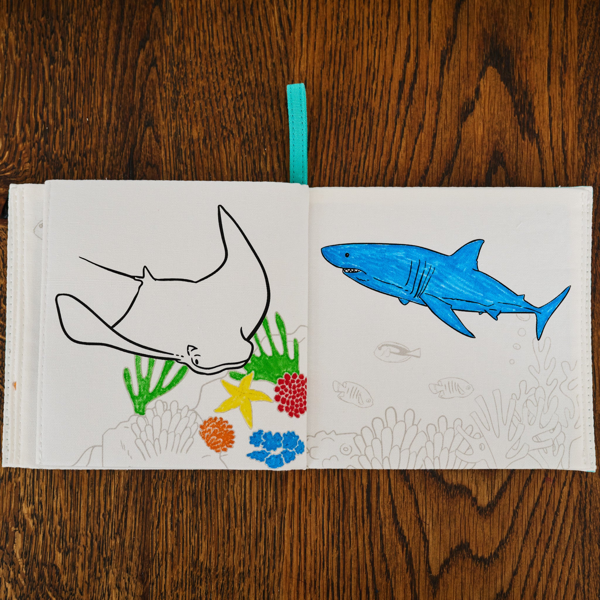 under the sea colour in book