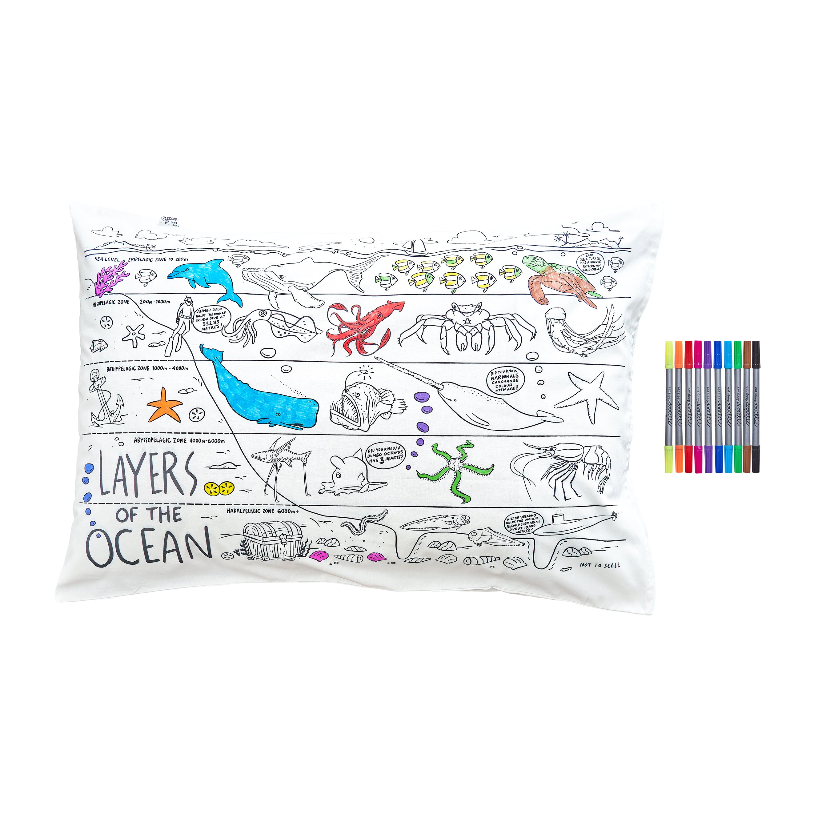 Kid friendly ocean facts Xmas present ideas for children